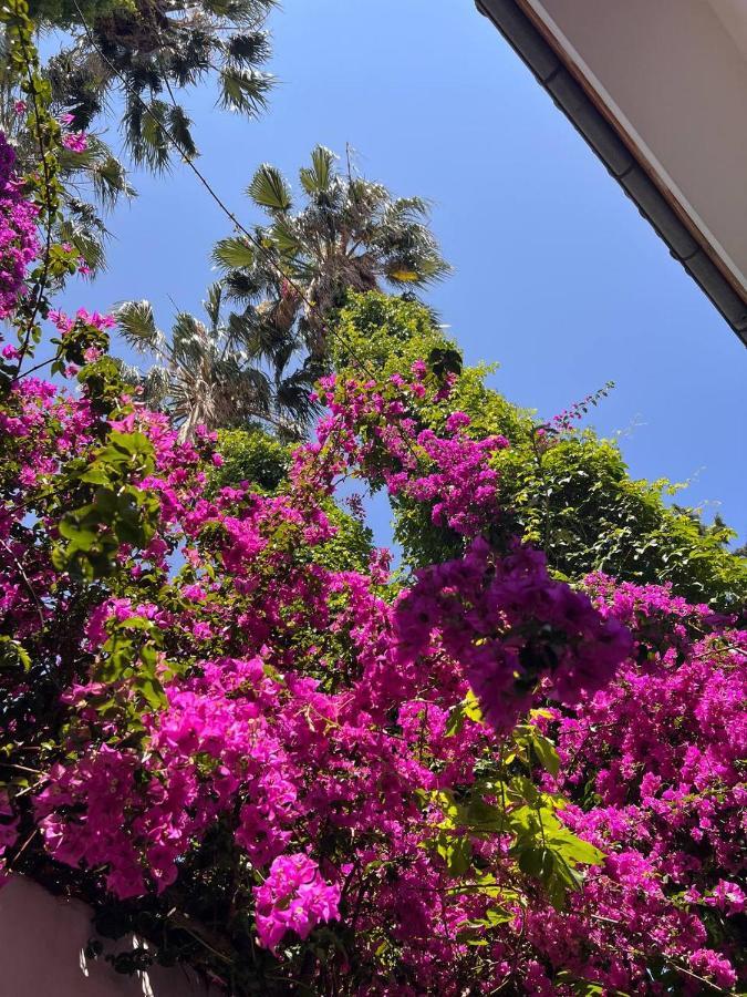 Palma Rosa Hotel Çamyuva Exterior foto
