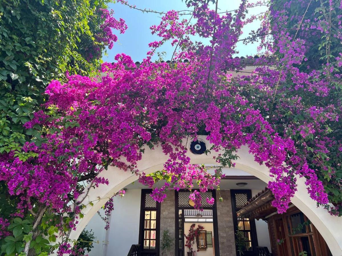 Palma Rosa Hotel Çamyuva Exterior foto